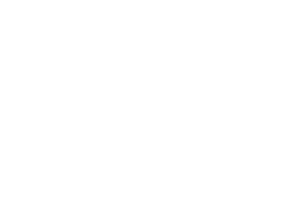 Parco Commerciale Cargopier