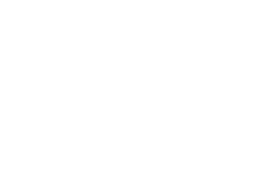 Dr. Ferruccio Stecher