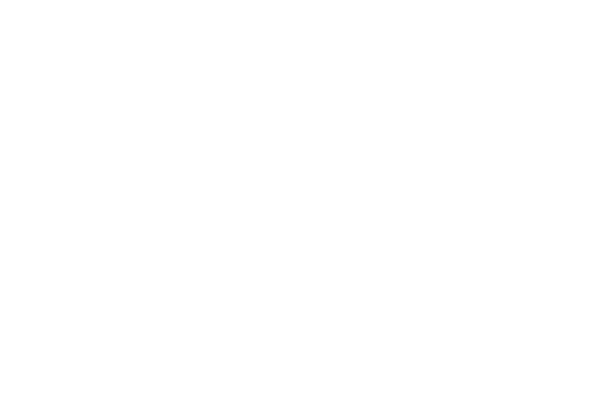 Dr. Ferruccio Stecher